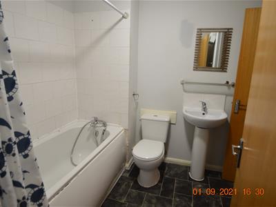 Picture 8